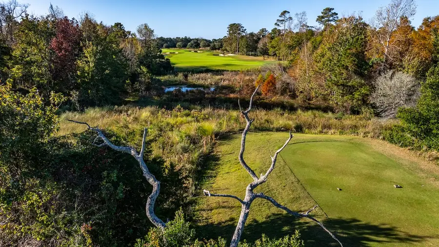 Barefoot - Fazio golf course