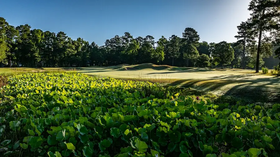 Long Bay Club golf course